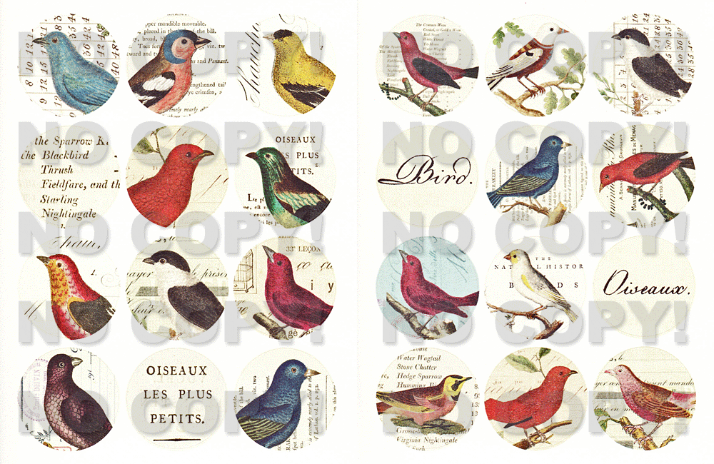 Cavalliniシール BirdStickersの拡大画像3