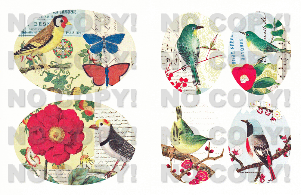 Cavalliniシール Flora&Faunaの拡大画像1