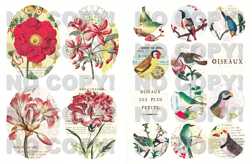 Cavalliniシール Flora&Faunaの拡大画像2