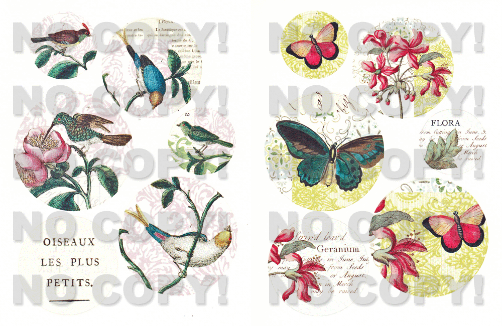 Cavalliniシール Flora&Faunaの拡大画像3